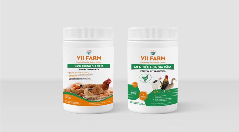 Combo Siêu trứng VII FARM
