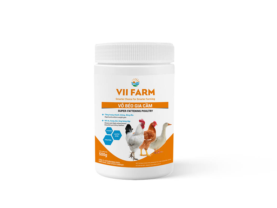 Vỗ-béo-Gia-cầm Vỗ béo gia cầm VII FARM