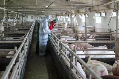 Thương hiệu VIIFARM đồng hành cùng người nông dân