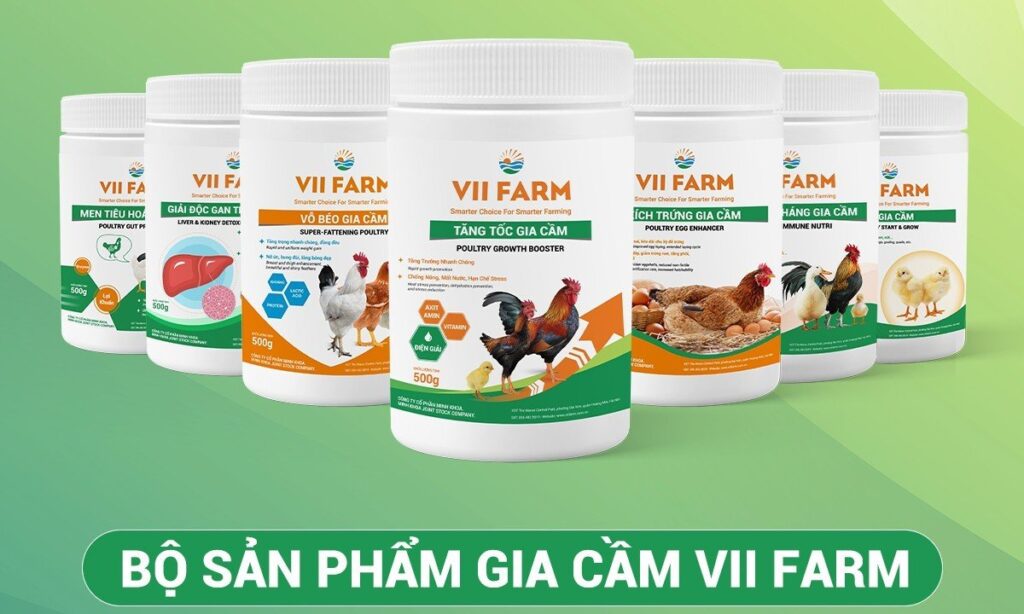 GIẢI PHÁP CHĂN NUÔI GIA CẦM HIỆU QUẢ VÀ NĂNG SUẤT CAO