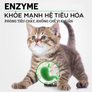 VIIFARM mien tiêu hóa chăm sóc thú cưng