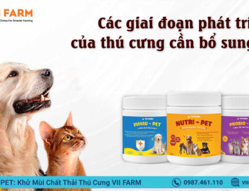 CÁC GIAI ĐOẠN PHÁT TRIỂN CỦA THÚ CƯNG