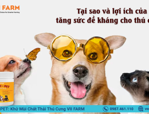 TĂNG SỨC ĐỀ KHÁNG CHO THÚ CƯNG