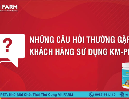 CÂU HỎI THƯỜNG GẶP KHI SỬ DỤNG KM-PET